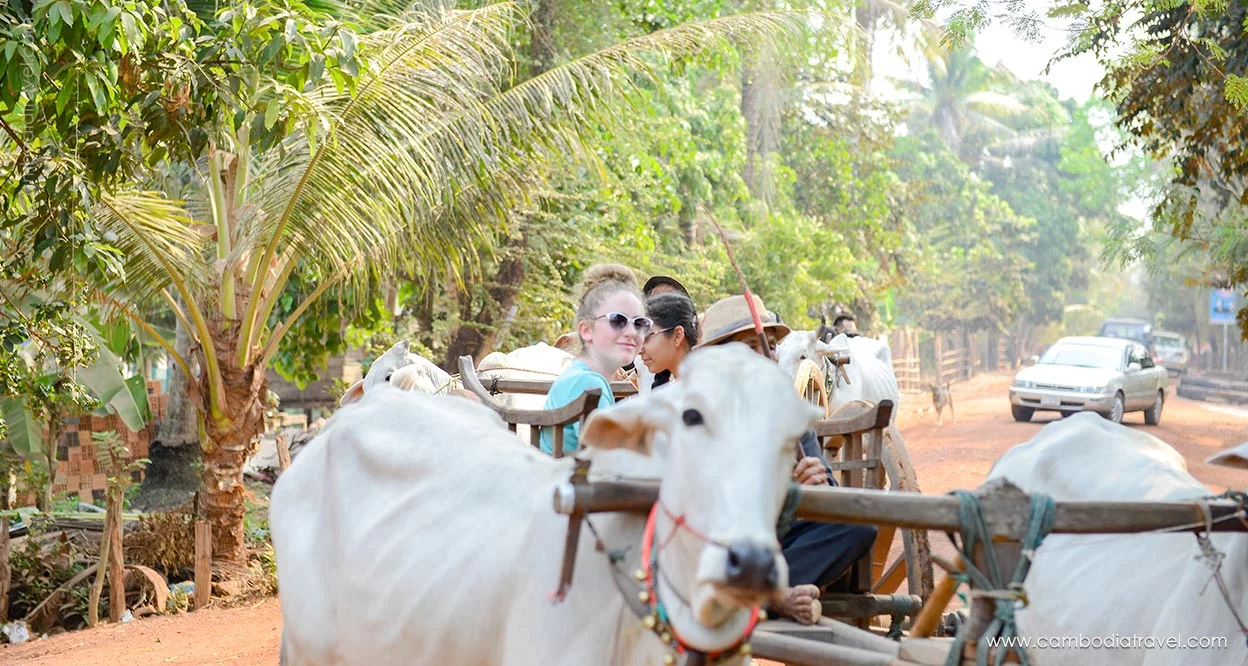 Ox Cart Ride